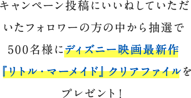 名古屋外国語大学のInstagramをフォロー＆いいねしていただいた方の中から抽選で500名様にクリアファイルをプレゼント！