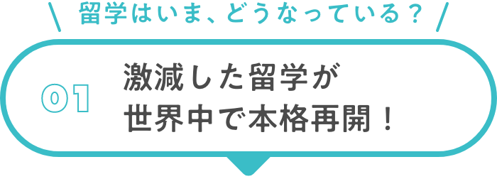 01 激減した留学が世界中で本格再開！